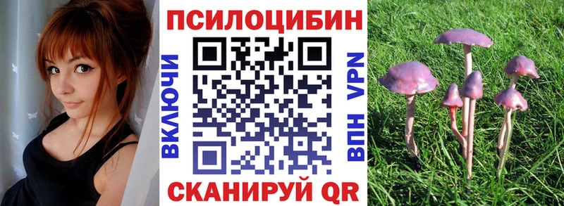 где купить   Афипский  mega ССЫЛКА  Псилоцибиновые грибы GOLDEN TEACHER 